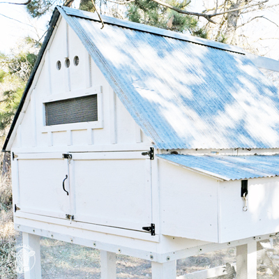 Farmhouse Chicken Coop Project