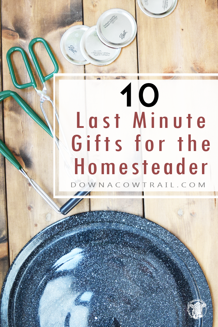 10 Last Minute Gift Ideas for the Homesteader