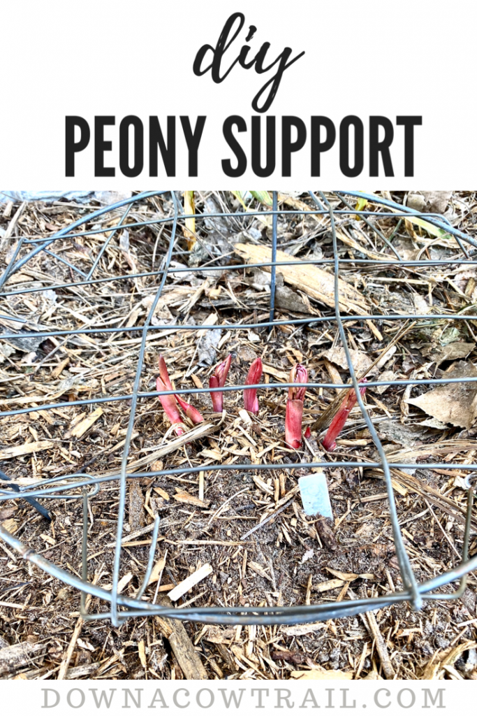 DIY Peony Support