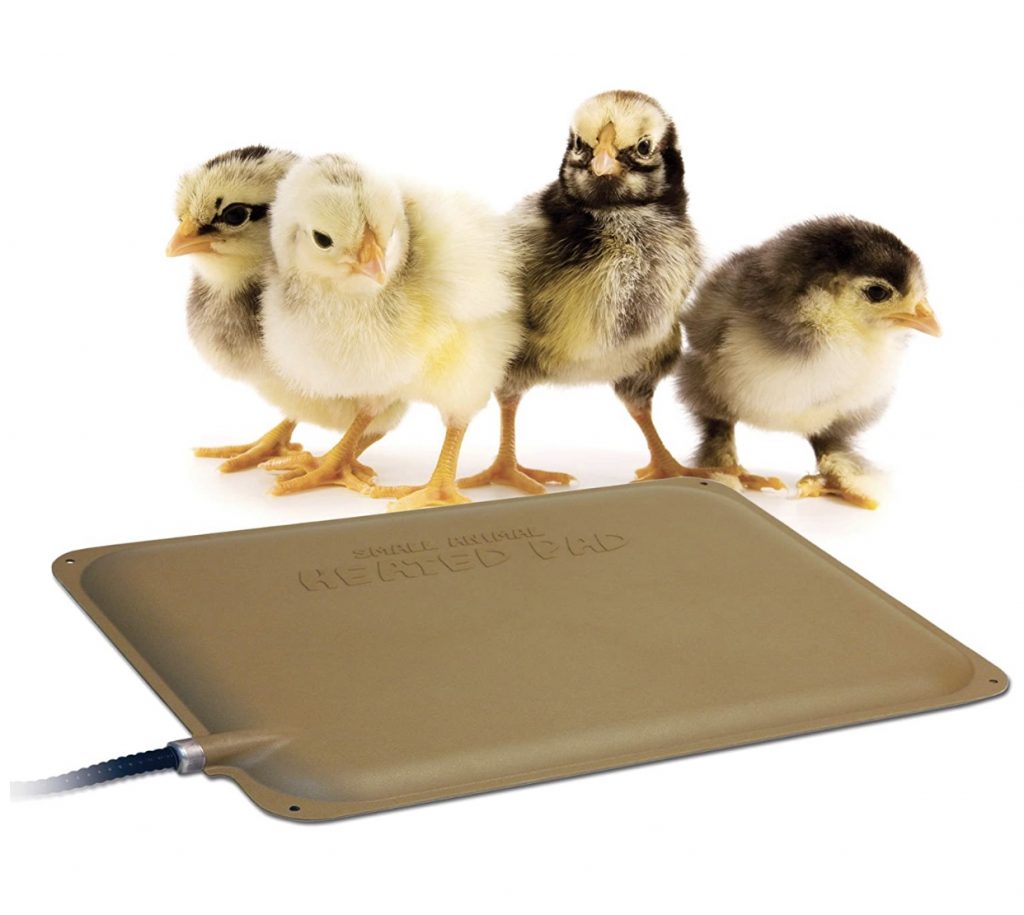 Heating Pad for Baby Chicks
