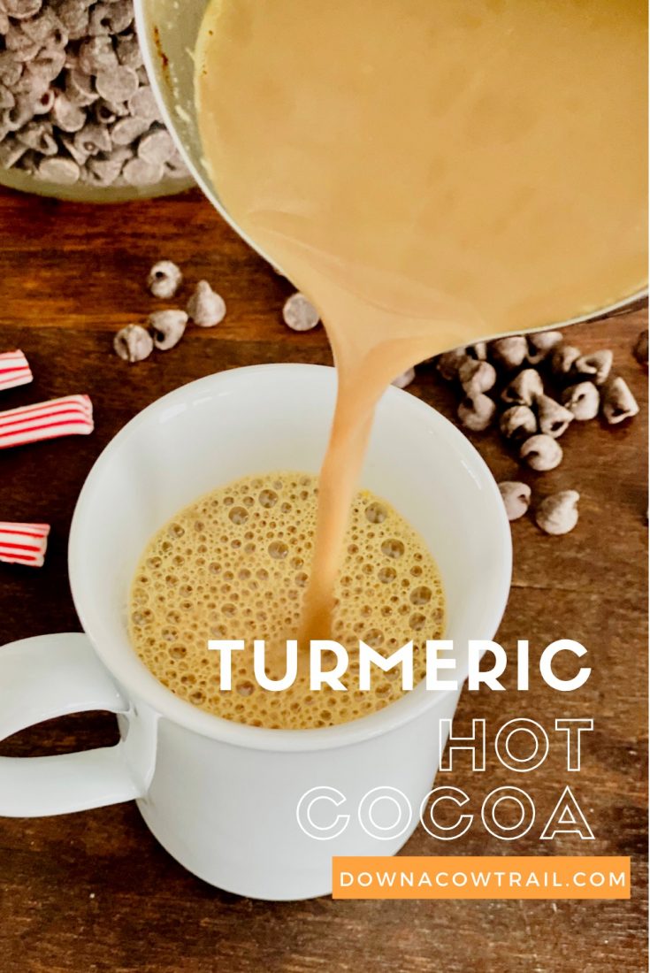 Turmeric Hot Cocoa
