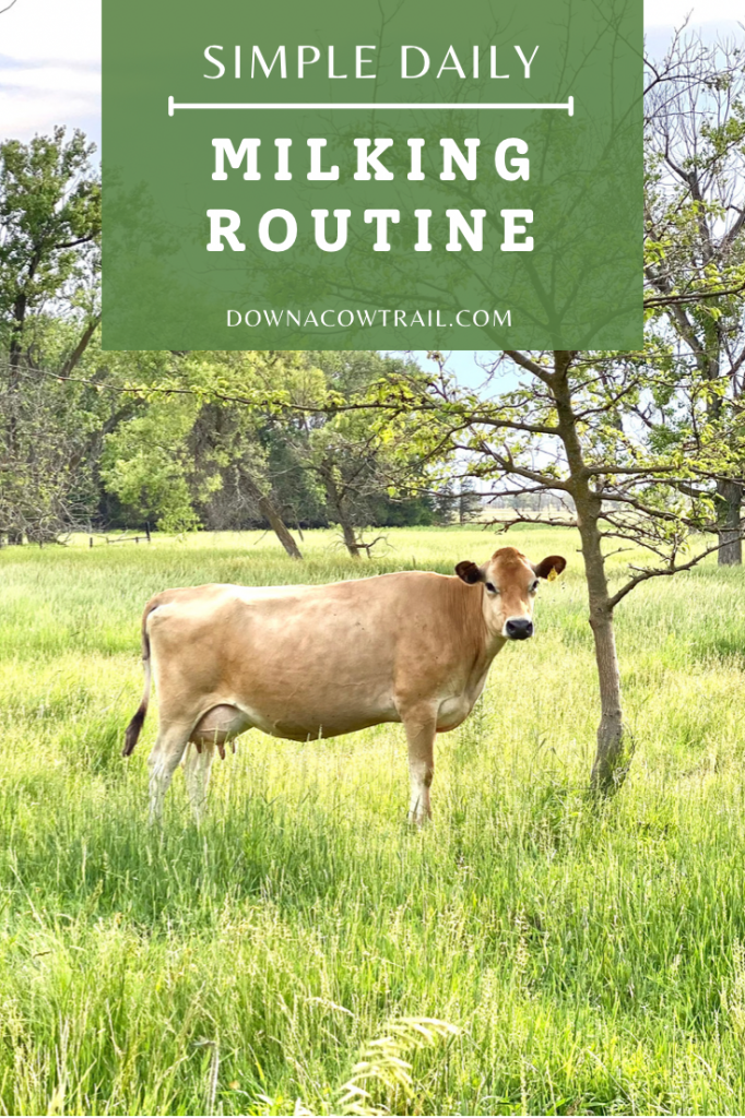 Simple Daily Milking Routine